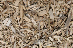 biomass boilers Madeleywood